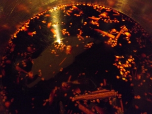 Elderberry Syrup simmering